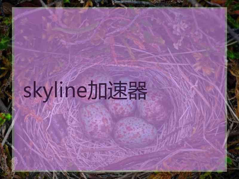 skyline加速器
