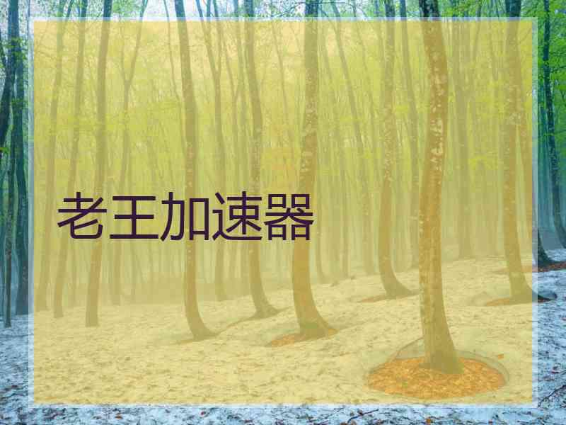老王加速器