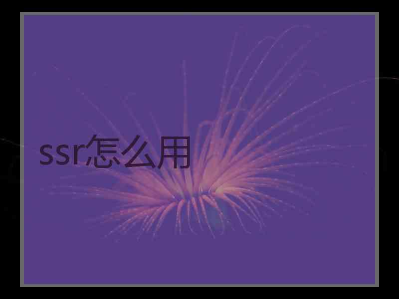 ssr怎么用