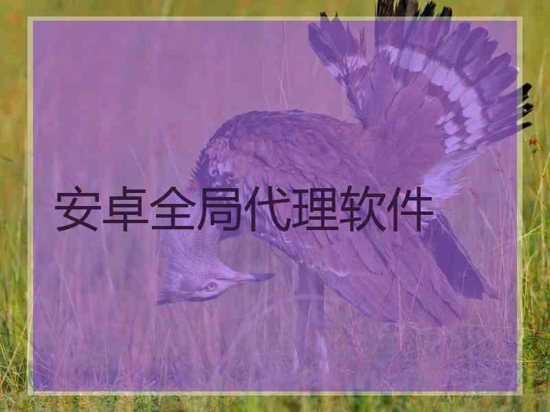 安卓全局代理软件