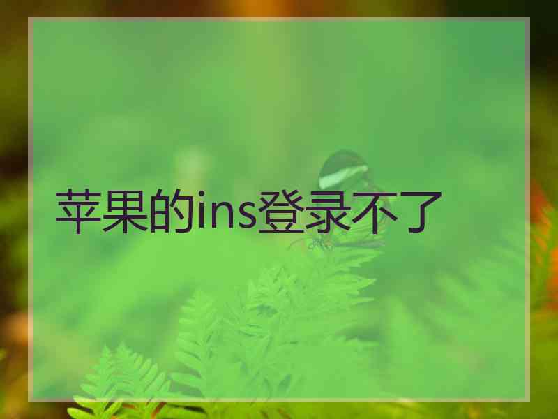 苹果的ins登录不了