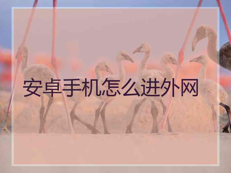 安卓手机怎么进外网