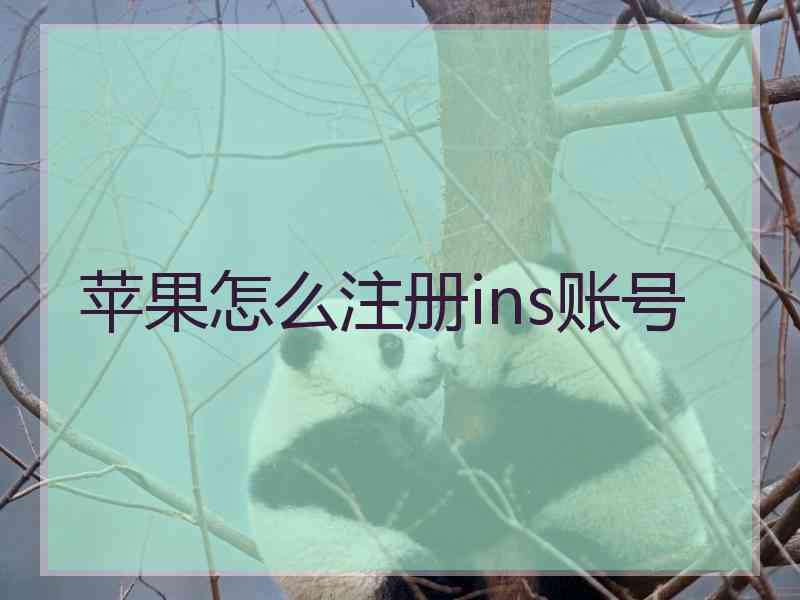 苹果怎么注册ins账号