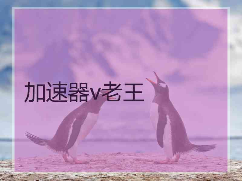加速器v老王