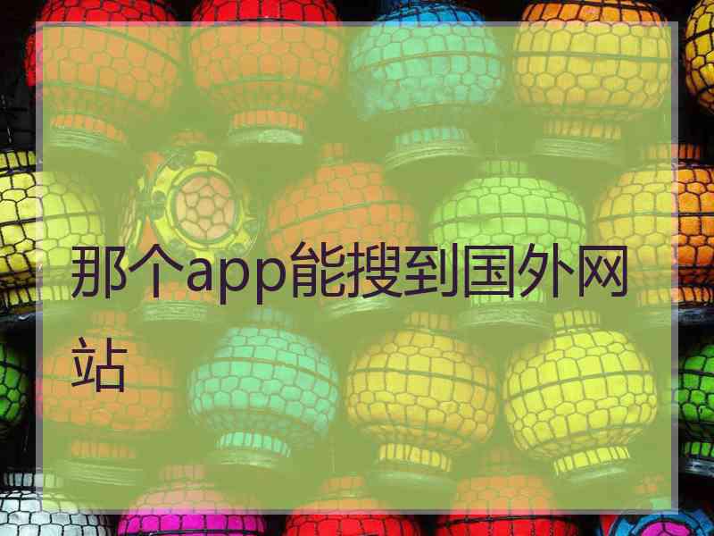 那个app能搜到国外网站