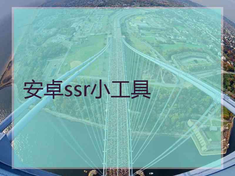 安卓ssr小工具