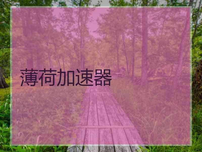 薄荷加速器