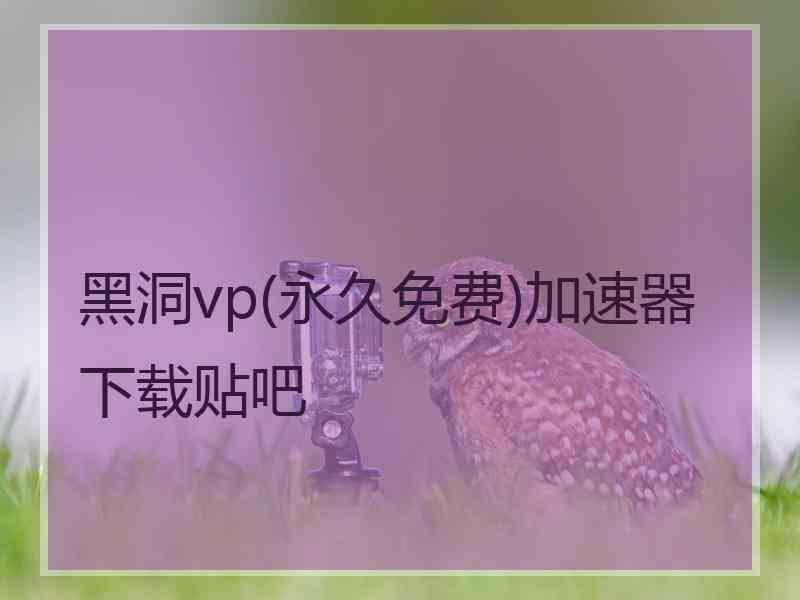 黑洞vp(永久免费)加速器下载贴吧